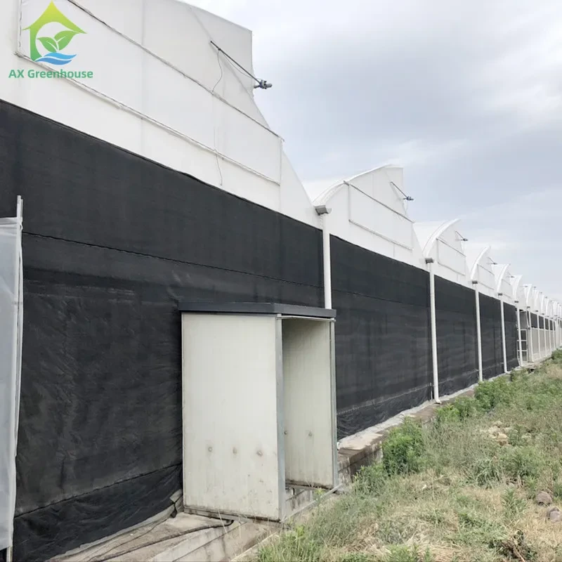 Invernadero agrícola para hongos, personalizado, 100 % opaco y con privación de luz, en venta 1