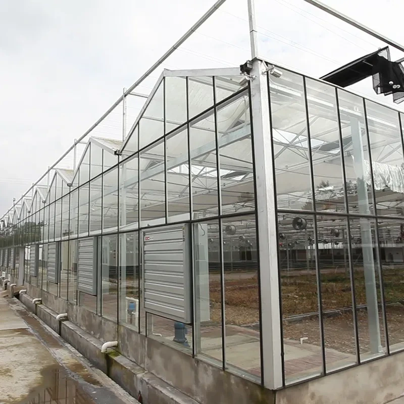 دفيئة زجاجية صناعية متعددة الأقواس للزراعة مزودة بنظام تظليل 1
