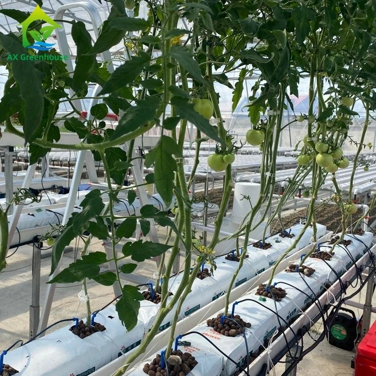 Row Planting System 4M Double Row Horizontal Planting Trough Steel Frame Soilless ...