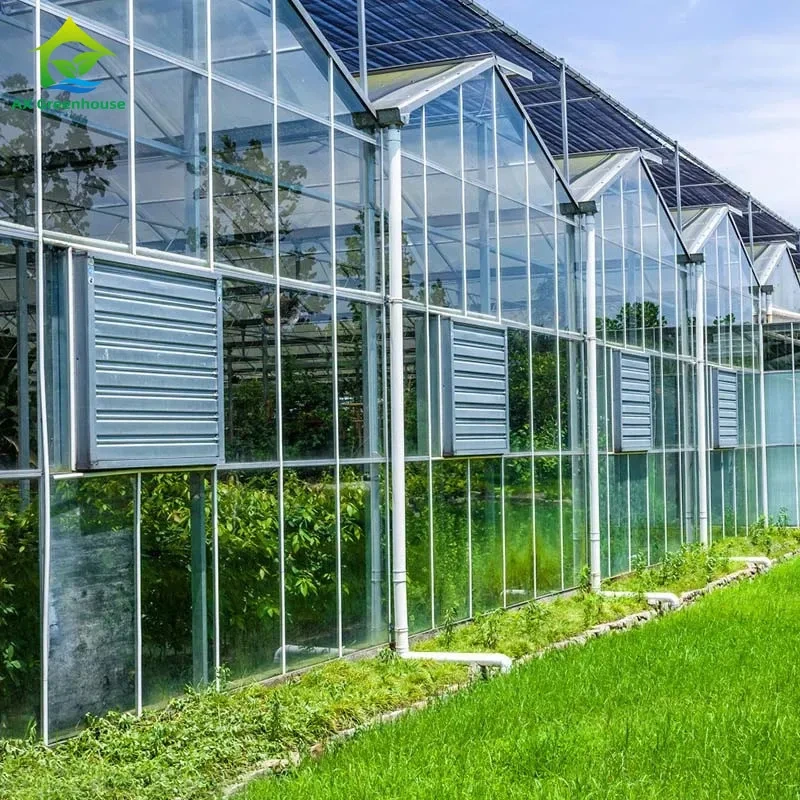 Serre agricole en verre trempé haute résistance antirouille pour légumes 1