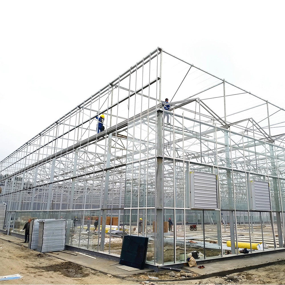 Invernadero de vidrio tipo Venlo con marco galvanizado de ingeniería holandesa y 90 % de transmitancia de luz para producción hidropónica de lechuga. 1