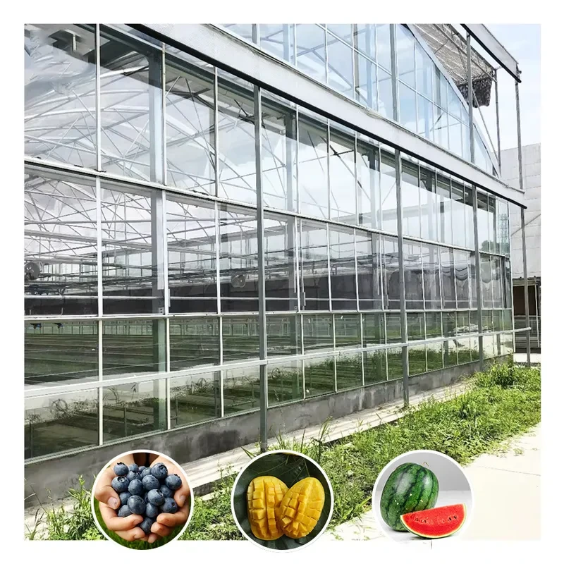 Estufa agrícola tipo túnel galvanizada Venlo para flores. 1