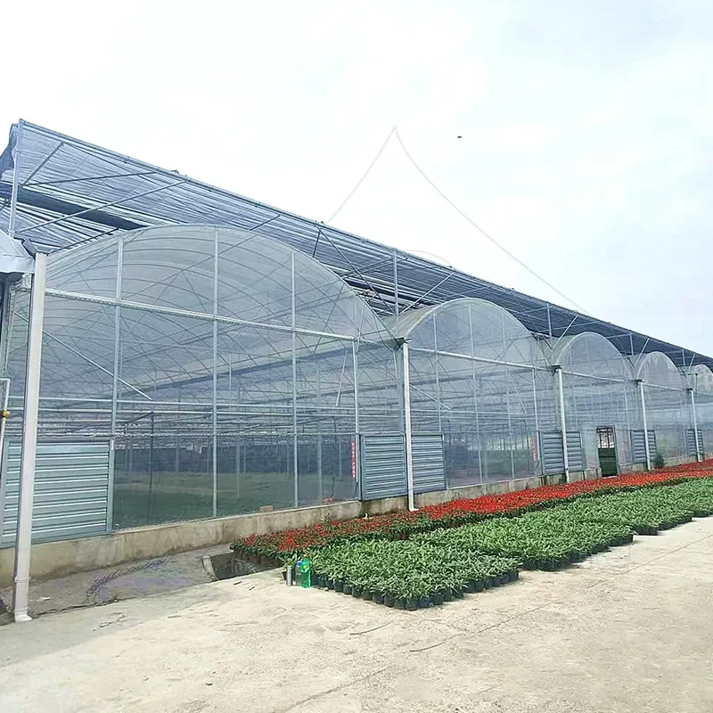 Multi-span Agricultural Plastic Film Vegetable Fruit Tunnel Greenhouse 1