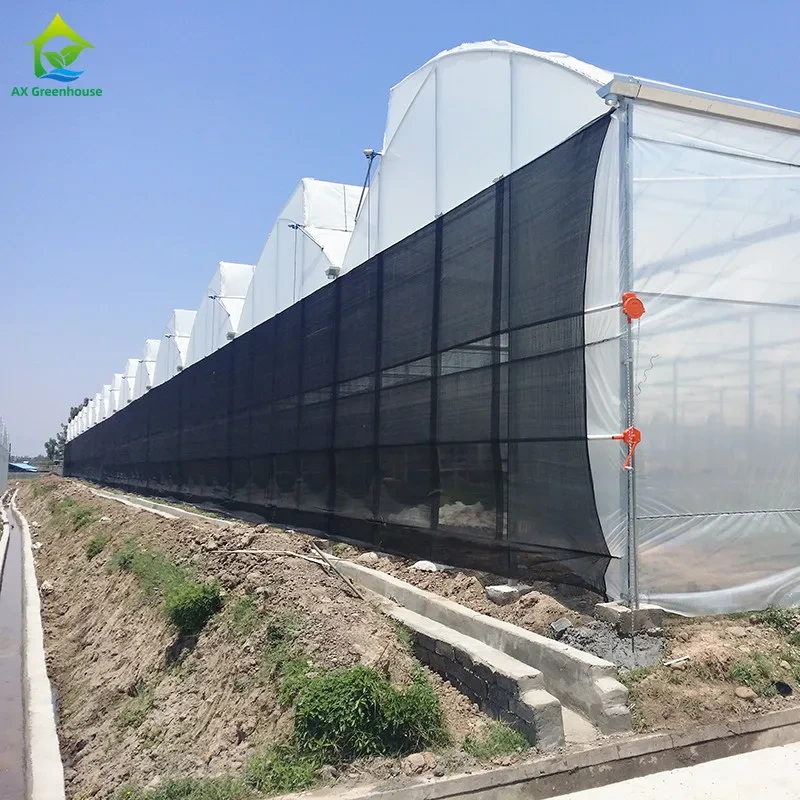 Commercial Poly Tunnel Greenhouse For Tropical Climate With UV Resistant PE Film 1
