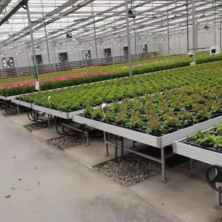 Mesa de cultivo para semilleros con sistema de flujo y reflujo, duradera, sin suelo, de 1,7 x 4 m, para invernaderos. 1