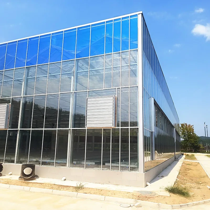 Serre commerciale de luxe à travées multiples Venlo pour l'agriculture et la production de tomates 1