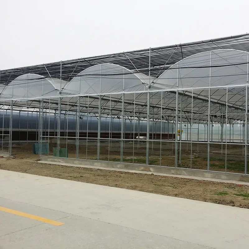 دفيئة زراعية متعددة الامتدادات مزودة بنظام تظليل، مصنوعة من غشاء بلاستيكي للبستنة. 1