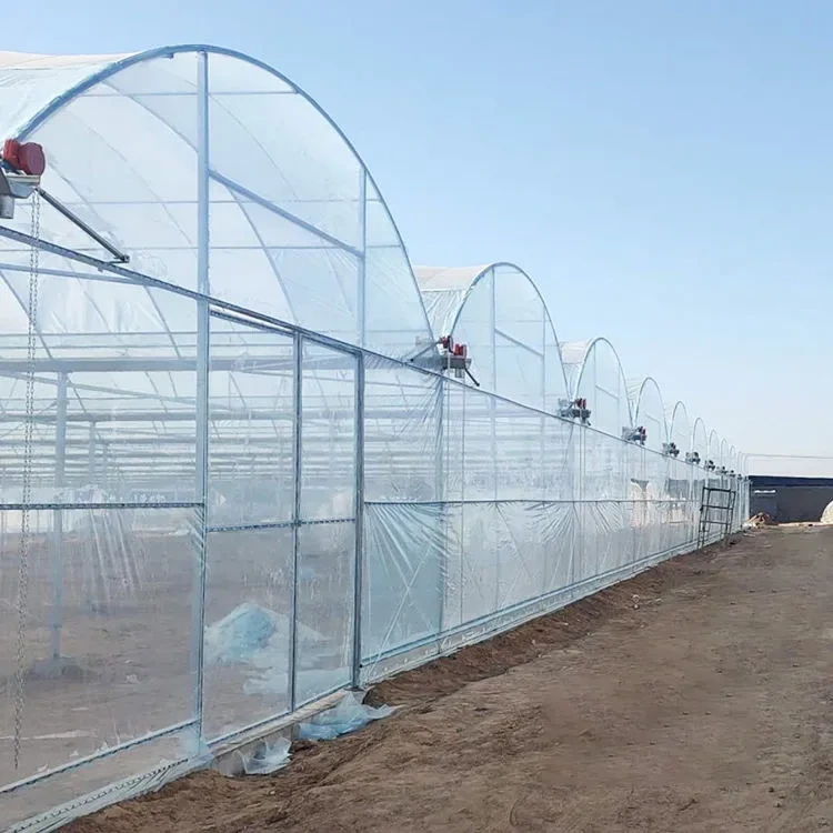 Durable Custom Size Agricultural Poly Large Tunnel Film Multi-span Greenhouse 1