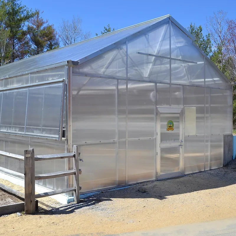 دفيئة زراعية مقاومة للأشعة فوق البنفسجية ذات سقف واحد مصنوعة من ألواح البولي كربونات للبيع 1