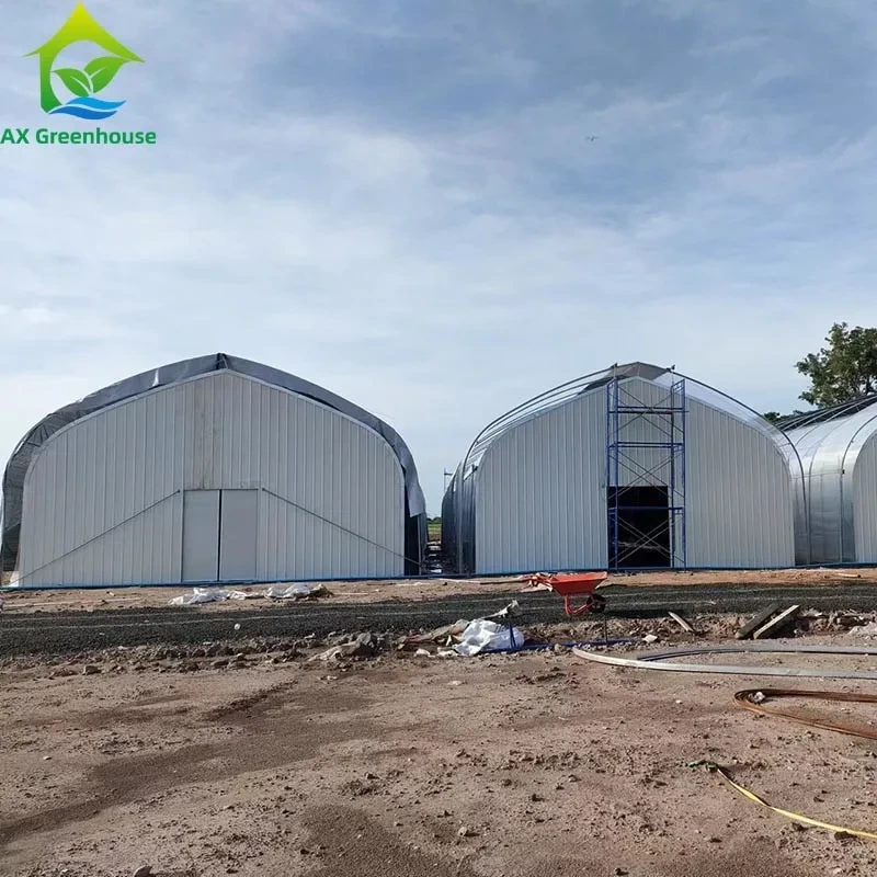 Serre-tente monobloc à occultation totale, personnalisée pour le semis agricole et l'agriculture commerciale 1