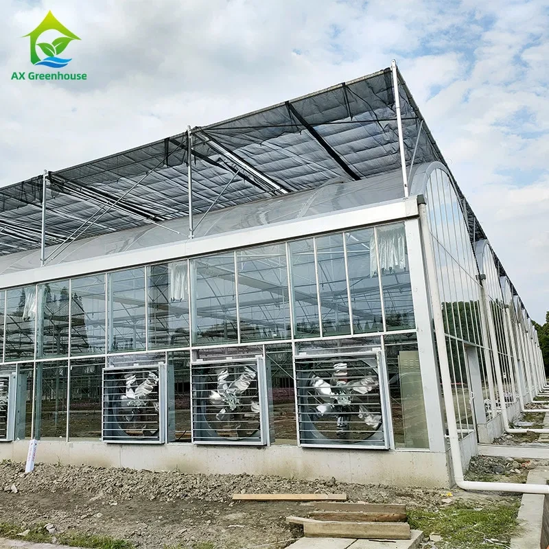 Serre agricole de luxe à plusieurs travées en verre pour légumes 1