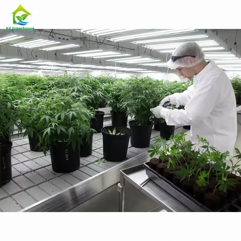 Table de culture hydroponique à roulettes pour semis, système de flux et reflux. 1