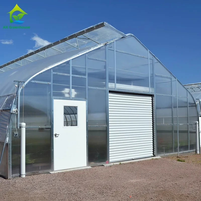 Plaque de polycarbonate sur mesure, résistante au vent, pour serre agricole à tomates. 1