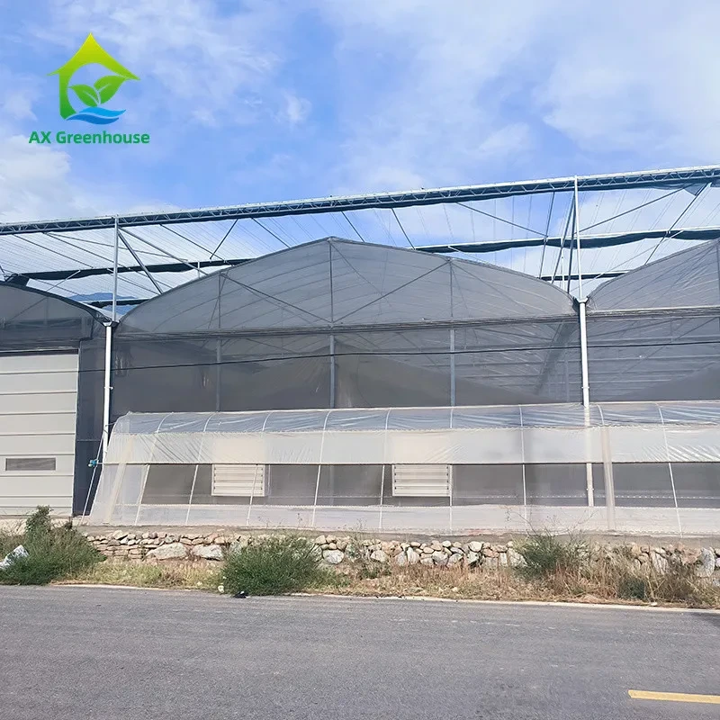 Serre agricole commerciale multi-travées en film plastique avec filet d'ombrage 1