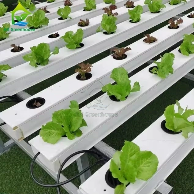 Sistema de cultivo hidropônico NFT de fábrica chinesa Super Farm, com canaletas de PVC, para hortaliças folhosas sem solo. 1