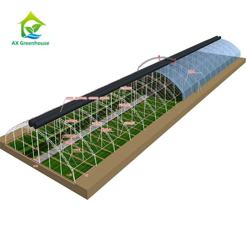 ODM Double Deck Skeleton Passive Solar Greenhouses For Snow Areas 1