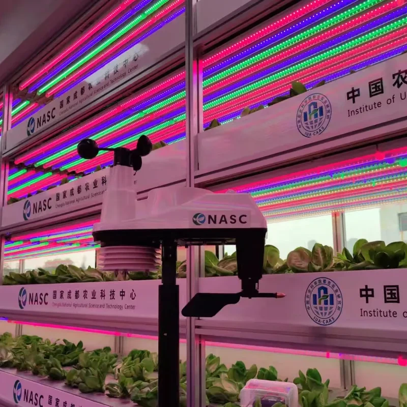 Station météorologique pour serre en PVC 49 000 PPM, contrôleur d'humidité pour serre 1