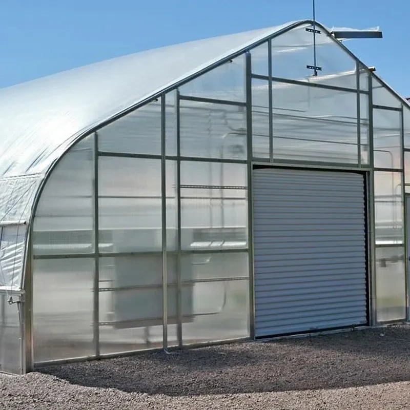 Plastic PE Film Low Tunnel Poly House Agricultural Greenhouse For Tomato 1