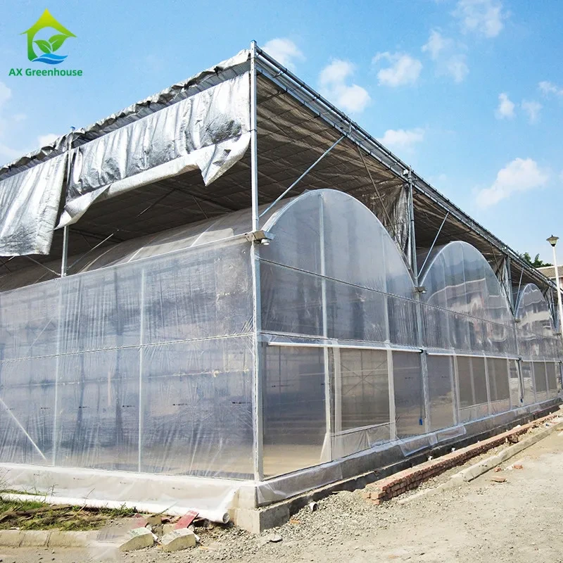 Agricultural Plastic Film Customized Multi-span Greenhouse With Shade Net 1