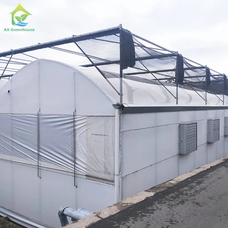 Serre agricole occultante en acier galvanisé durable, conçue pour priver la lumière. 1