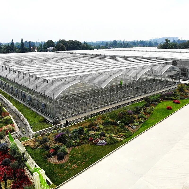 Durable Hot Dip Galvanized Steel Multi-span Plastic Film Agricultural Greenhouse For Fruit 1