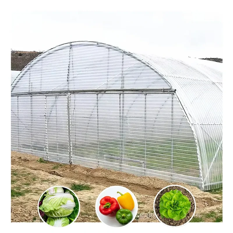 Serre à légumes économique de haute qualité en film plastique à travée unique 1