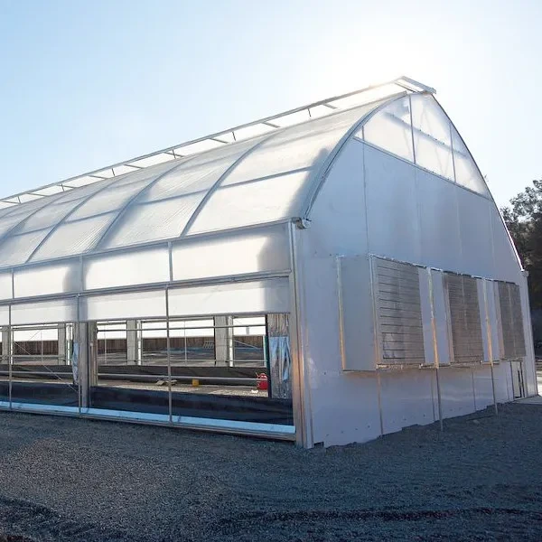 Invernadero agrícola de un solo tramo, de estructura estable y fácil de ensamblar, totalmente automatizado, para cultivo de hongos. 1