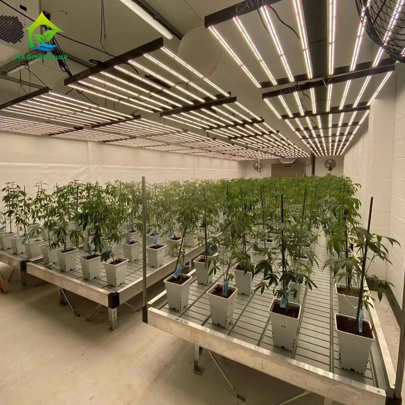 Bancos rodantes para invernaderos ecológicos y estables con lámina de plástico ABS y marco de aleación de aluminio en tamaños personalizables. 1