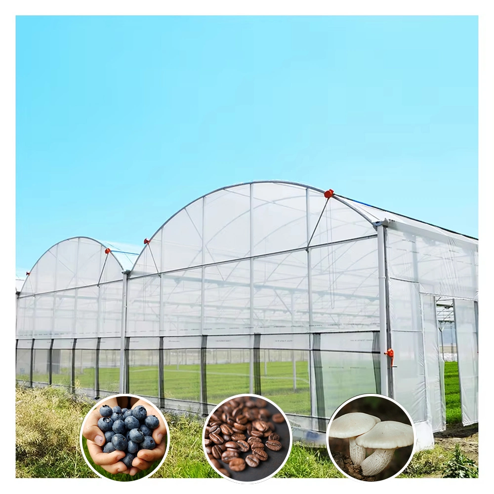 دفيئة متعددة الأجزاء مزودة بنظام تبريد أوتوماتيكي، مناسبة لجميع المناخات. 1