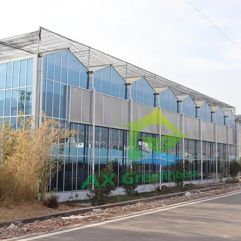 Invernadero agrícola personalizado de vidrio para el cultivo de hortalizas, duradero. 1