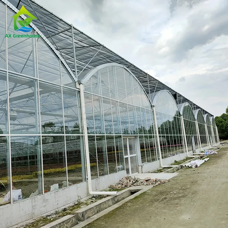 Serre agricole commerciale sur mesure, polyvalente, en verre, pour légumes et fleurs 1