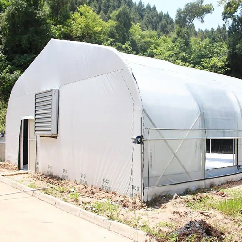 Invernadero de privación de luz: estructura estable para la agricultura comercial 1