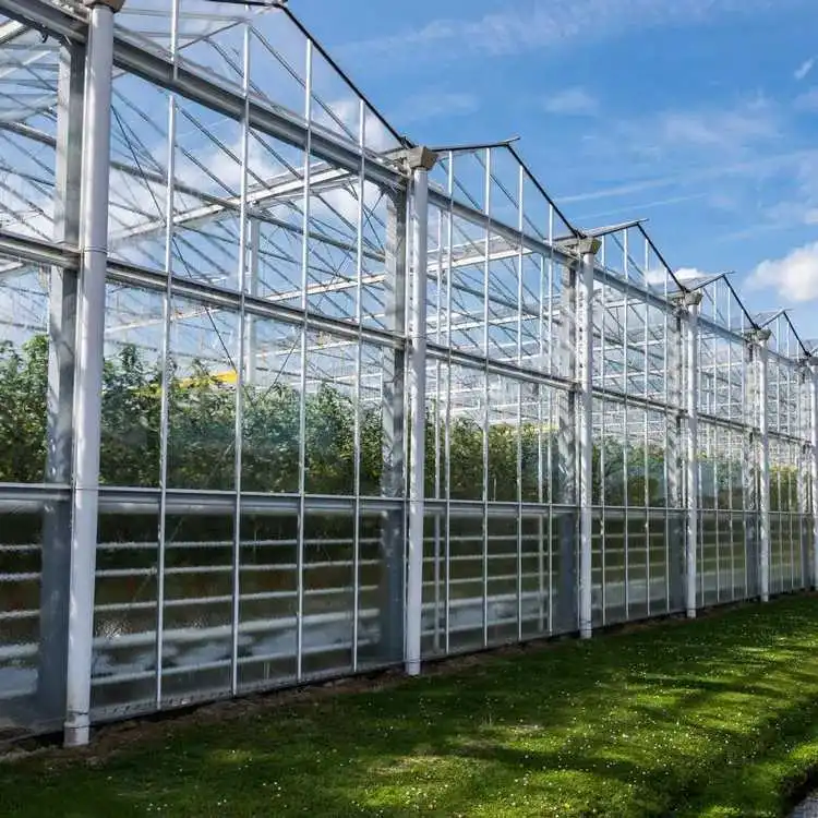 Wholesale Long Life-span Agricultural Venlo Drying House Multi-span Tempered Glass Greenhouse With Shade Net 1