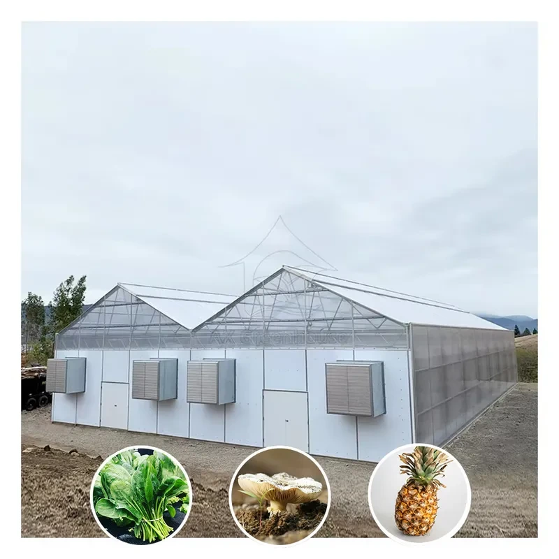 Serre agricole automatique à occultation en polycarbonate pour privation de lumière 1