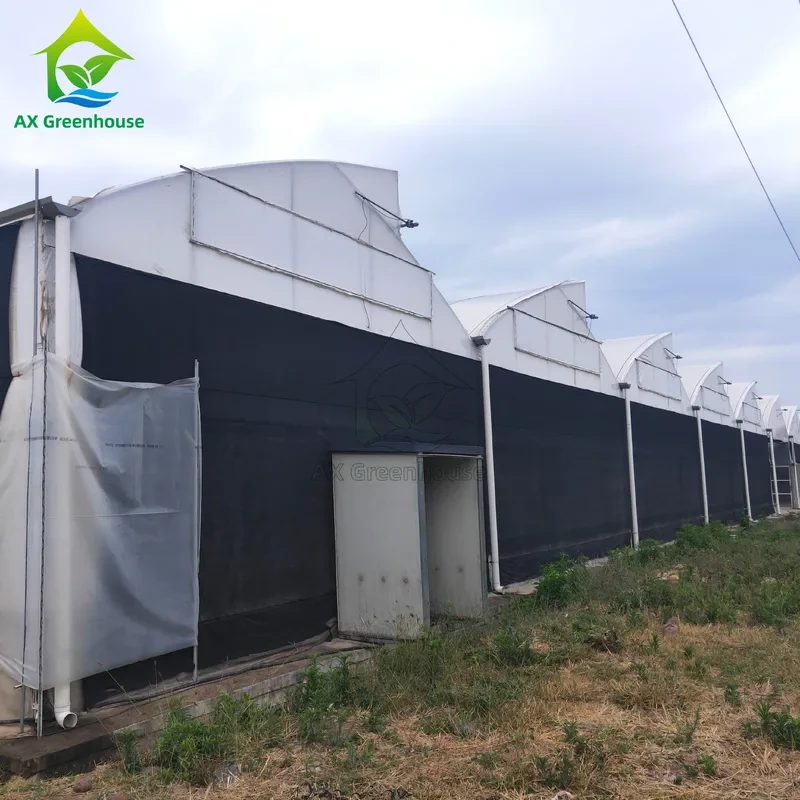 Serre à travées multiples pour l'occultation de la lumière, avec structure en acier galvanisé à chaud et système de parois latérales opaques, dimensions personnalisables. 1