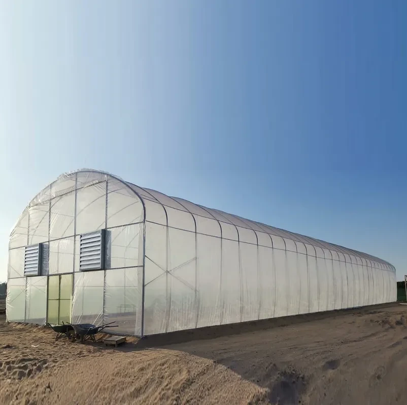 Serre agricole commerciale à structure métallique et film plastique avec système hydroponique 1
