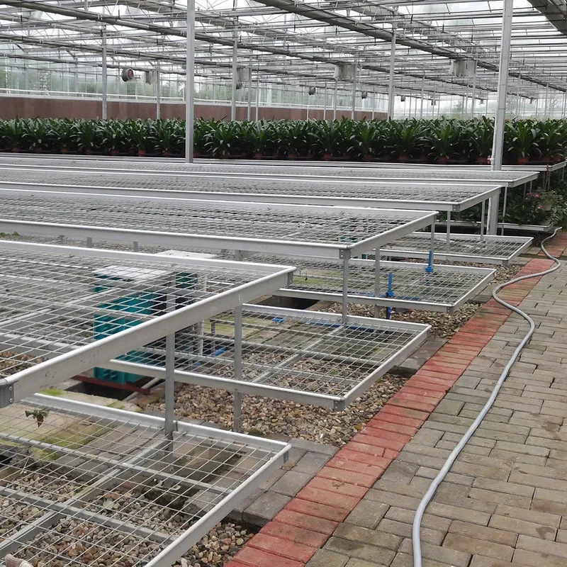 Tables en treillis métallique pour serres commerciales, gain de place et installation facile, banc roulant pour serres 1