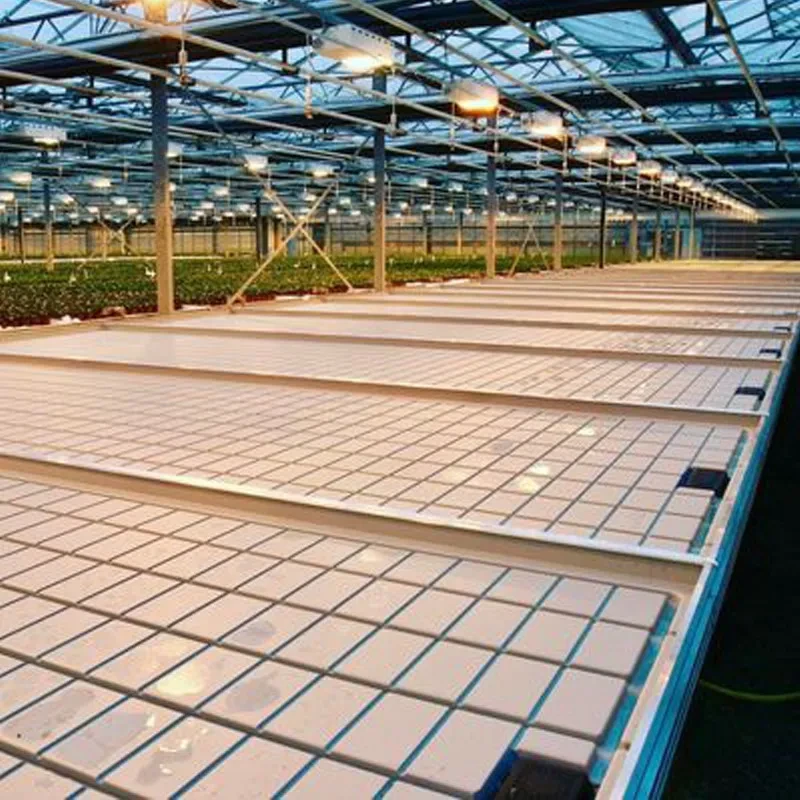 صواني الزراعة المائية ABS الأكثر مبيعًا، دفيئة بنظام المد والجزر، مقاعد متحركة، طاولة زراعة 1