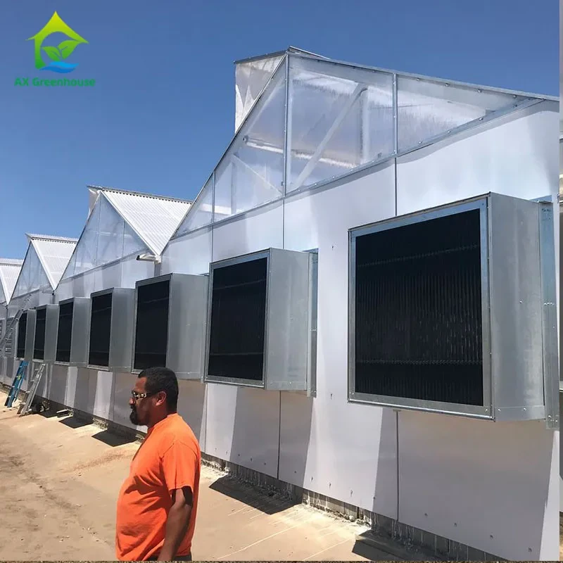 Serre tunnel occultante à film PE 220V avec éclairage automatique, occultation totale. 1