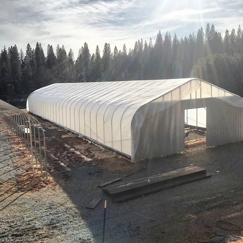 نفق كبير معتم، بيت زجاجي زراعي يحجب الضوء 1