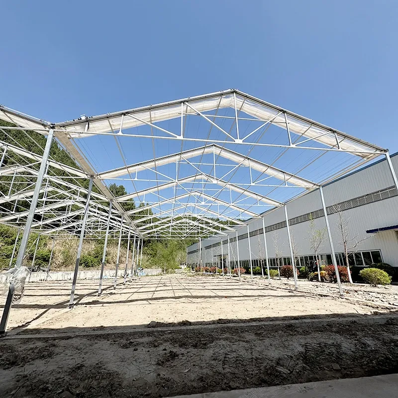 Estufa agrícola tipo túnel com cobertura retrátil em filme plástico e estrutura de aço galvanizado a quente para tomates. 1