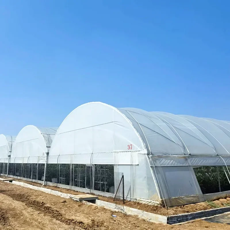 خيمة دفيئة بلاستيكية متعددة الامتدادات مصنوعة من سبائك الألومنيوم عالية الجودة 1