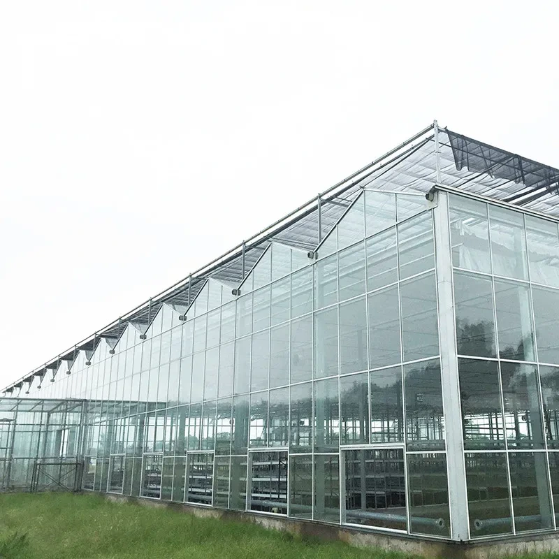 Serre agricole multi-travées Venlo avec structure en alliage d'aluminium, vitrage et moulures de toit triangulaires, largeur 9,6 m/10,8 m/12 m 1