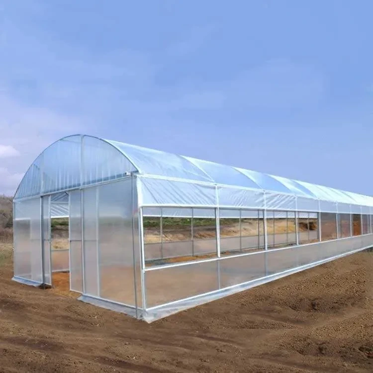 Wind Resistant Plastic PE Film Commercial Poly Tunnel Greenhouse For Planting Fruit 1
