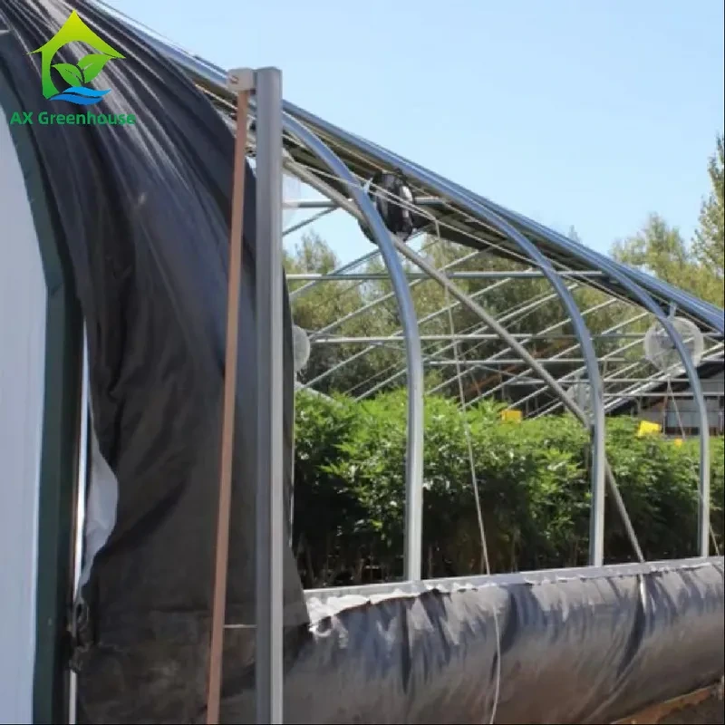 دفيئة خارجية معتمة تلقائياً، دفيئة ذات غشاء أبيض وأسود 1