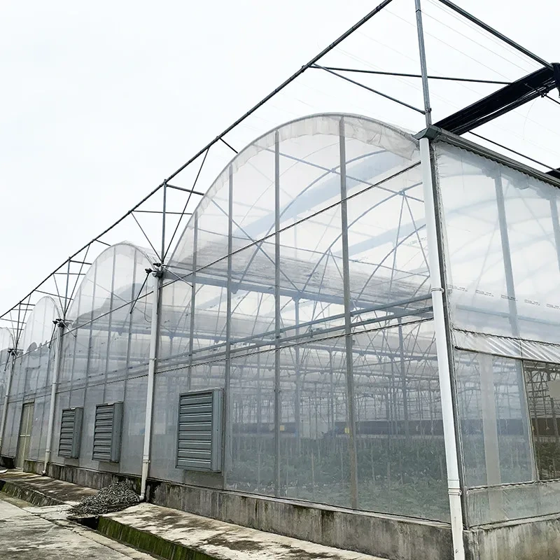 Commercial Industrial Plastic Film Agricultural Multi-span Poly Tunnel Greenhouse 1