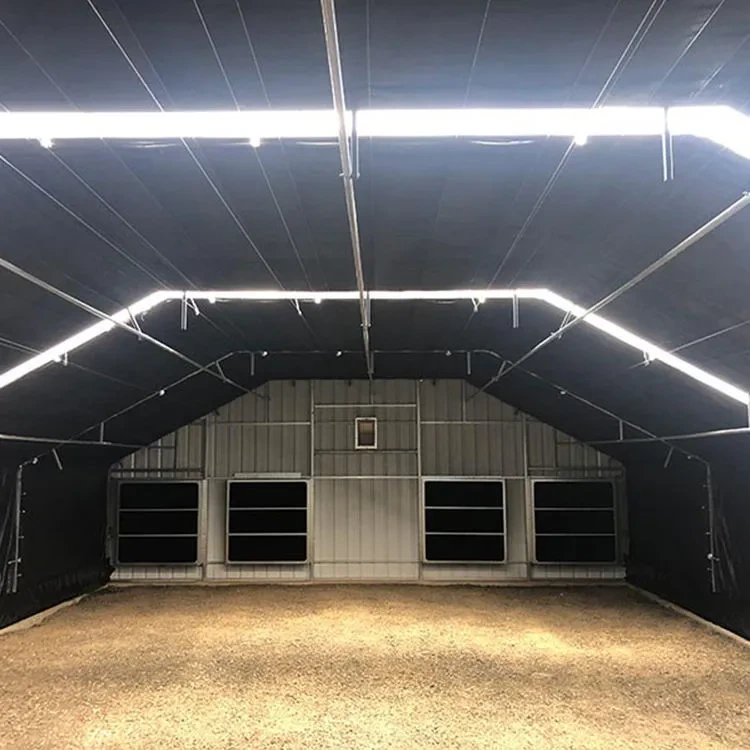 Culture automatique de champignons tropicaux et de plantes médicinales en serre, sous obscurité totale. 1