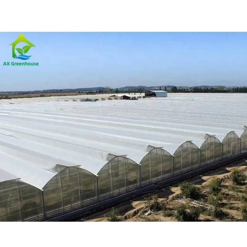 Sistema de enfriamiento de túnel para tomates de múltiples tramos para invernaderos agrícolas y comerciales 1