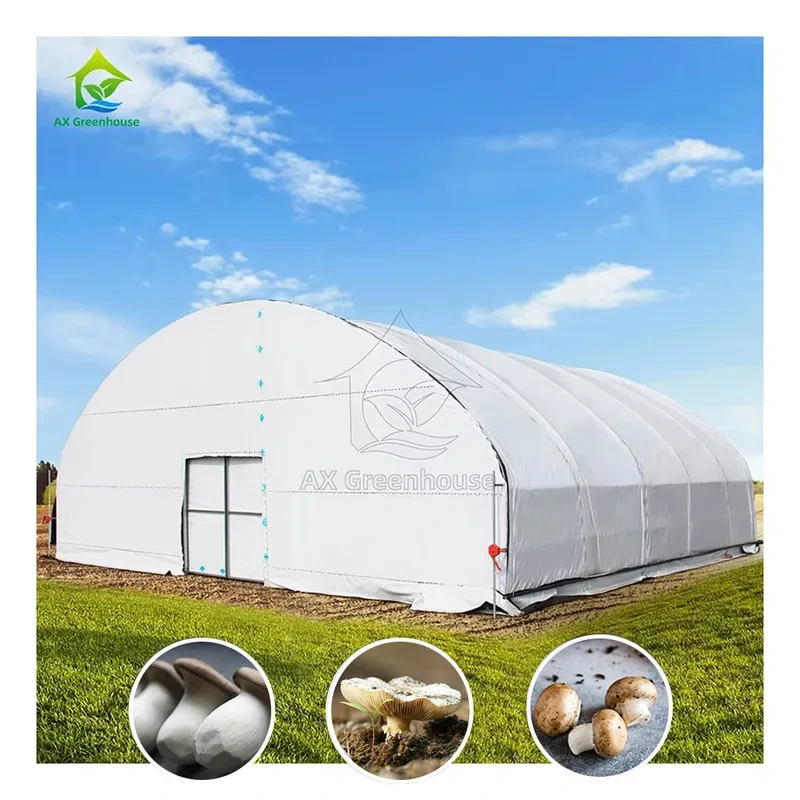 Invernadero agrícola de privación de luz de un solo tramo de 10 x 30 m, totalmente opaco, para hortalizas comerciales 1