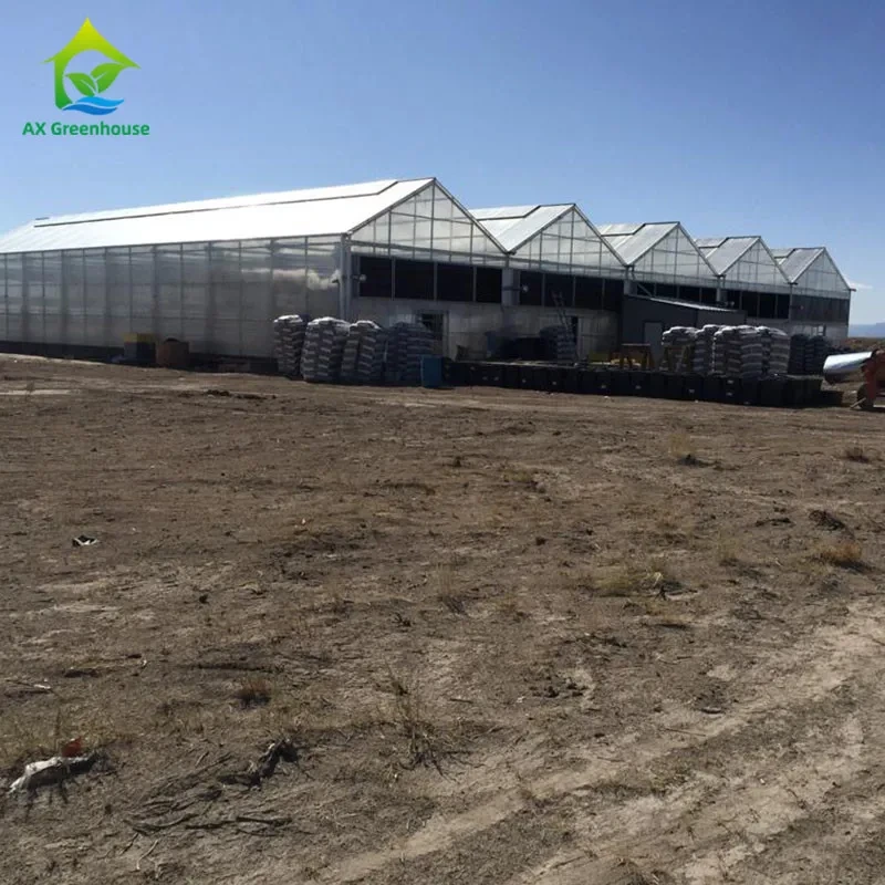 Serre à plusieurs travées de 10,8 m, à privation de lumière, à monter soi-même et raccordée à une gouttière. 1